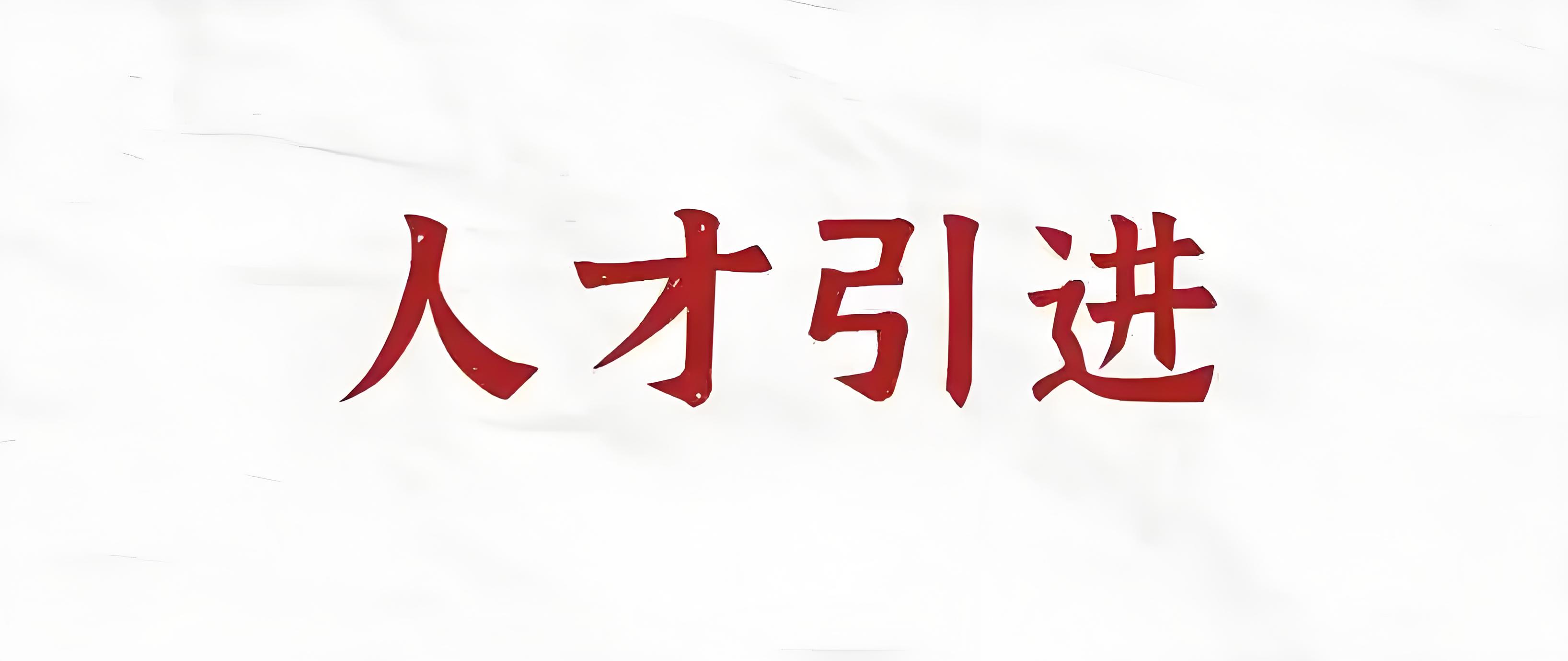 优化人才引进策略的步骤与注意事项